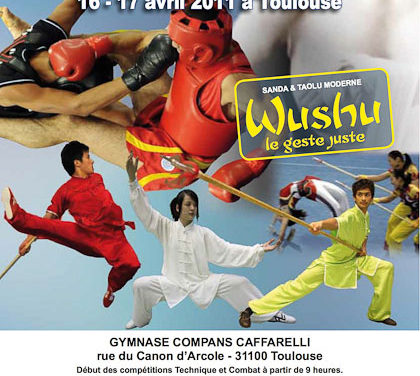 Kung Fu Lamorlaye aux championnats de France 2011