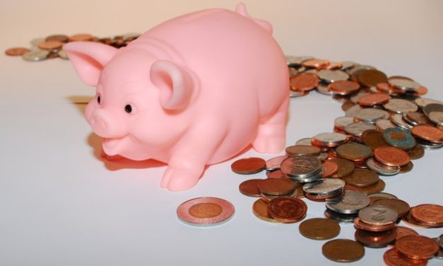 Vote budget primitif 2011