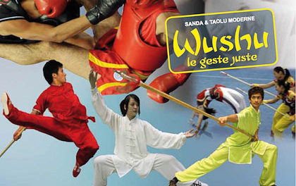 Kung Fu Lamorlaye aux championnats de France 2011