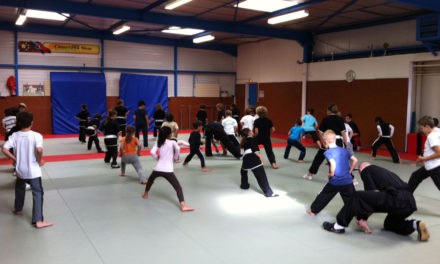 Une rentrée très spéciale pour l’école de Kung-Fu de Lamorlaye